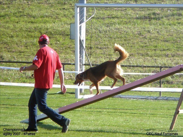 Championnat suisse agility 2007