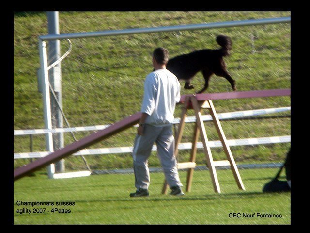 Championnat suisse agility 2007 – photo 3