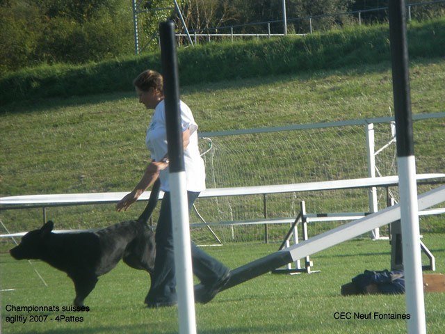 Championnat suisse agility 2007 – photo 4