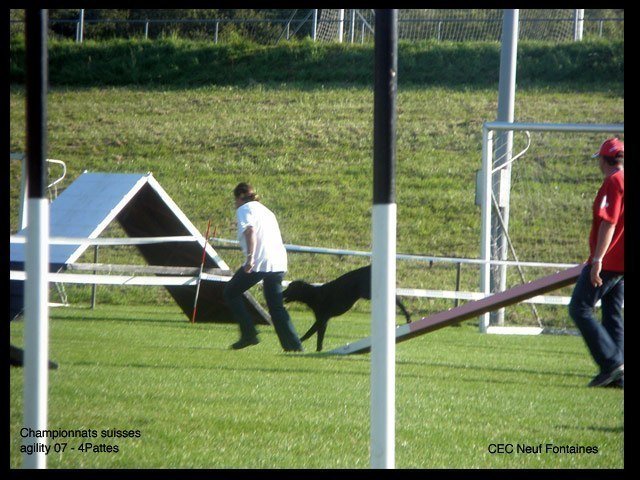 Championnat suisse agility 2007 – photo 5