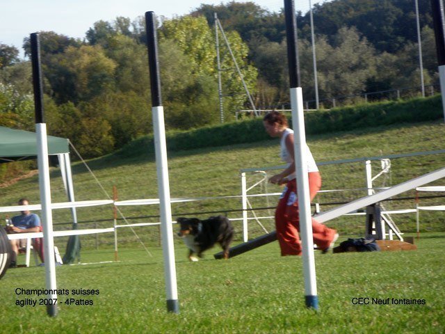Championnat suisse agility 2007 – photo 7