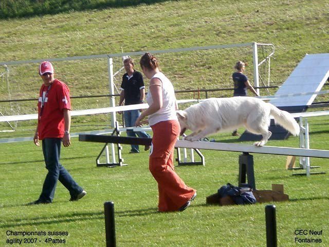Championnat suisse agility 2007 – photo 9
