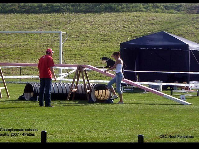 Championnat suisse agility 2007 – photo 10