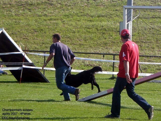 Championnat suisse agility 2007 – photo 11