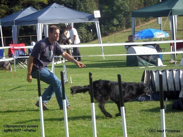 Championnat suisse agility 2007 – photo 12