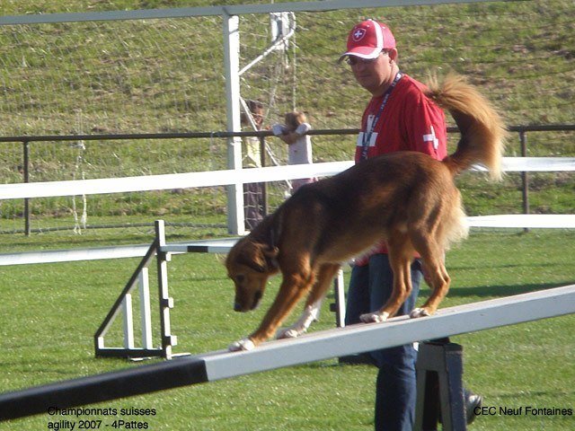 Championnat suisse agility 2007 – photo 13