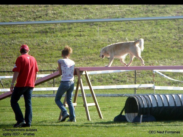 Championnat suisse agility 2007 – photo 14