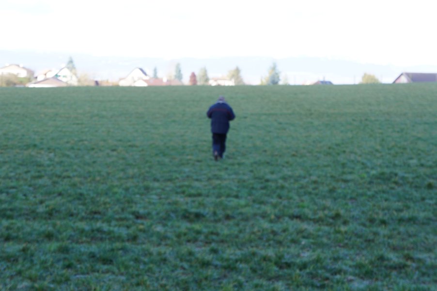 Cours flair 2014 – photo 4