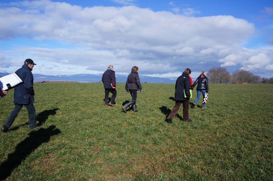 Cours flair 2014 – photo 6