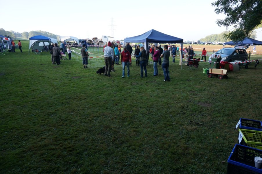 Championnat suisse agility 2014 – photo 8