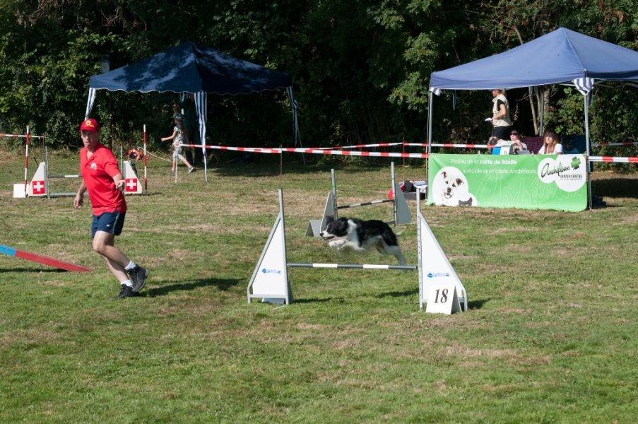 Championnat suisse agility 2014 – photo 14