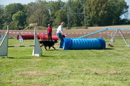 Championnat suisse agility 2014 – photo 15