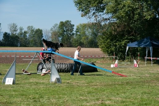 Championnat suisse agility 2014 – photo 16
