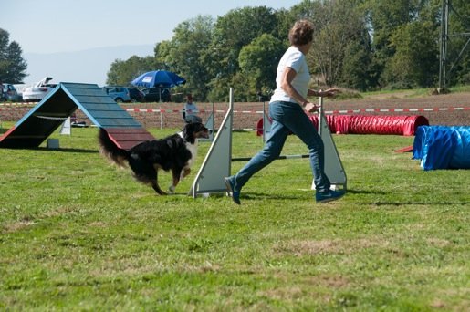 Championnat suisse agility 2014 – photo 18