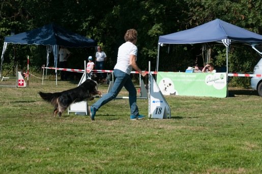 Championnat suisse agility 2014 – photo 19