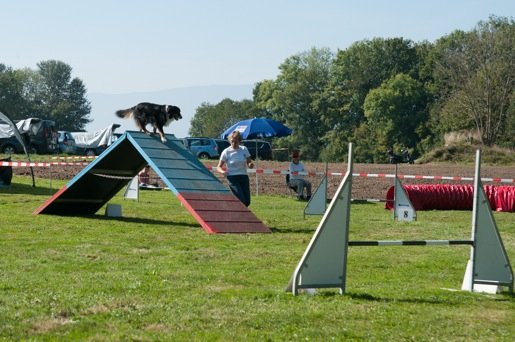 Championnat suisse agility 2014 – photo 23