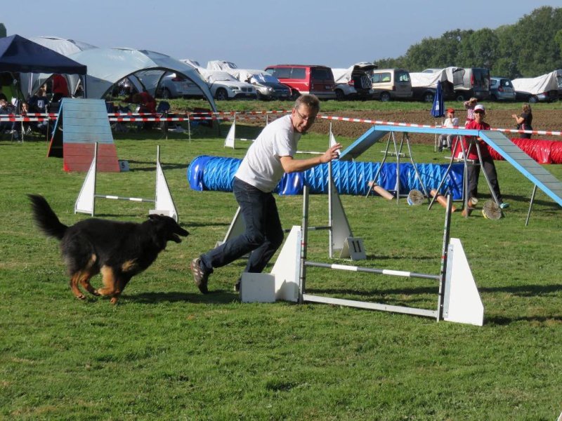 Championnat suisse agility 2014 – photo 24