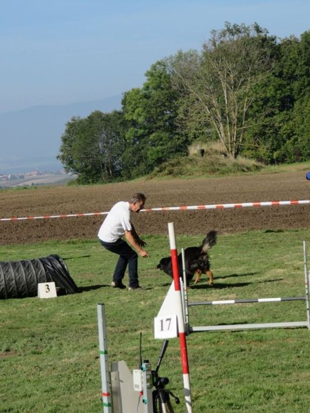 Championnat suisse agility 2014 – photo 25