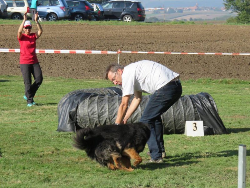 Championnat suisse agility 2014 – photo 26
