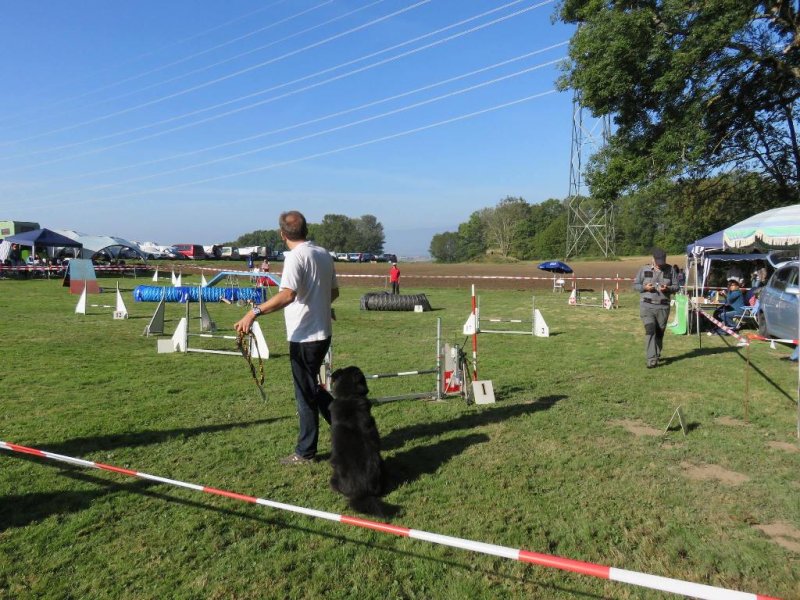 Championnat suisse agility 2014 – photo 27
