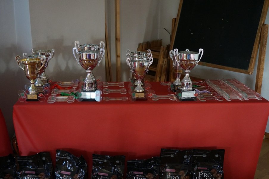 Championnat suisse agility 2014 – photo 35