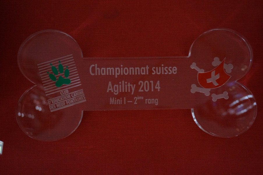 Championnat suisse agility 2014 – photo 36