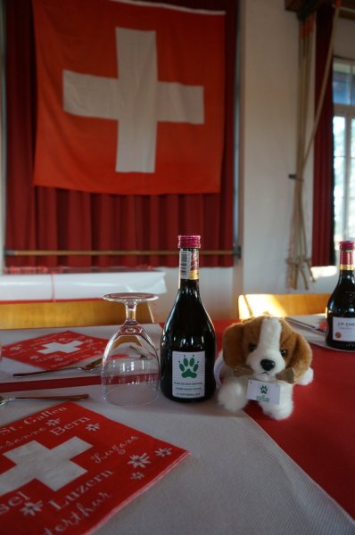 Championnat suisse agility 2014 – photo 38