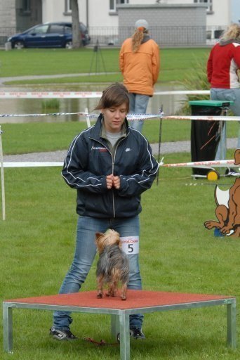 Agility 2008 – photo 2