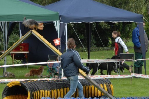 Agility 2008 – photo 3