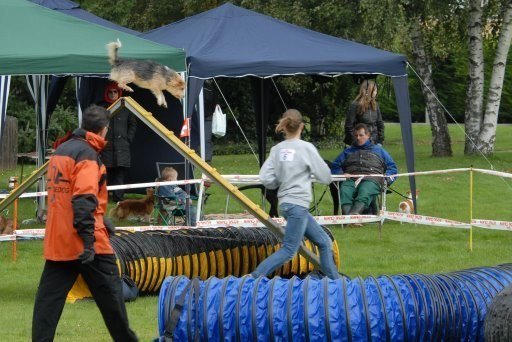 Agility 2008 – photo 4
