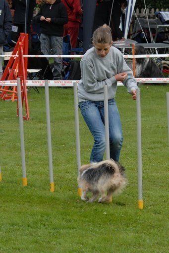 Agility 2008 – photo 5