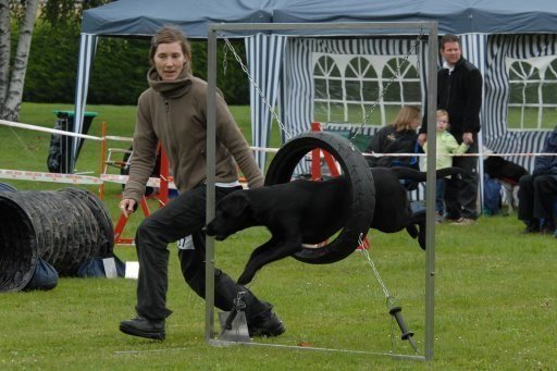 Agility 2008 – photo 6