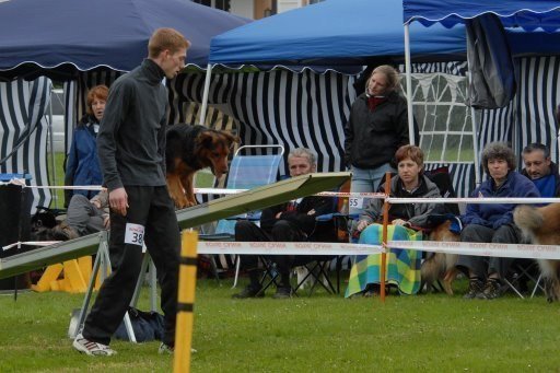 Agility 2008 – photo 8