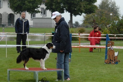 Agility 2008 – photo 9