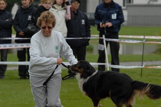 Agility 2008 – photo 12