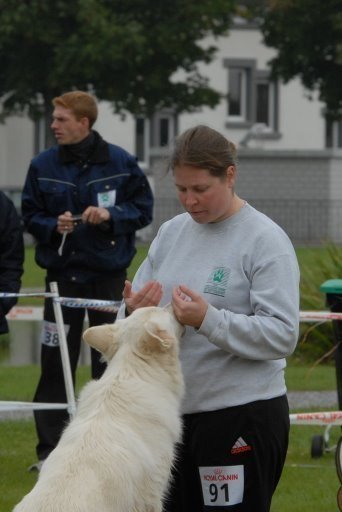 Agility 2008 – photo 14