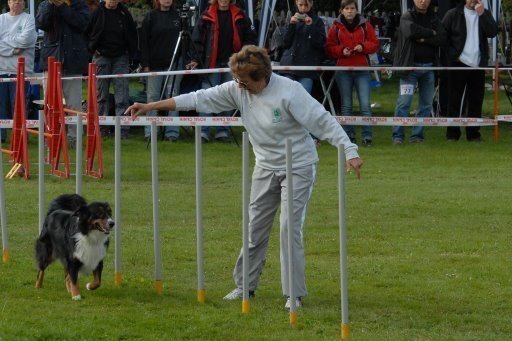 Agility 2008 – photo 18