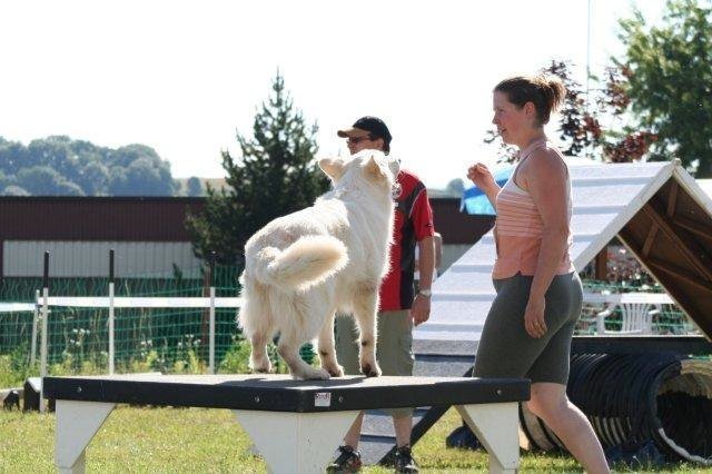 Agility 2008 – photo 26