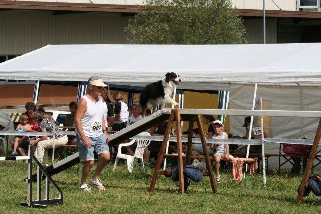 Agility 2008 – photo 30