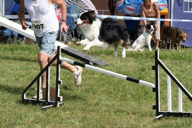 Agility 2008 – photo 32