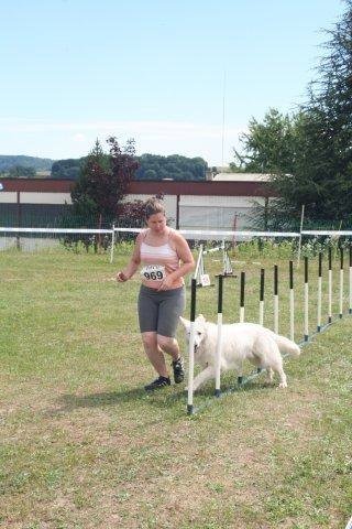 Agility 2008 – photo 34