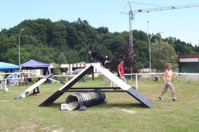 Agility 2008 – photo 35