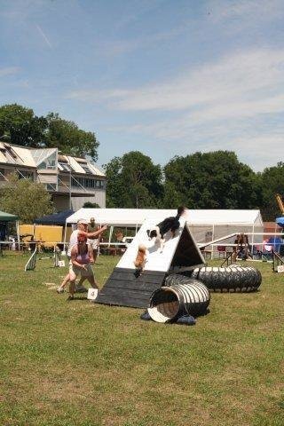 Agility 2008 – photo 38