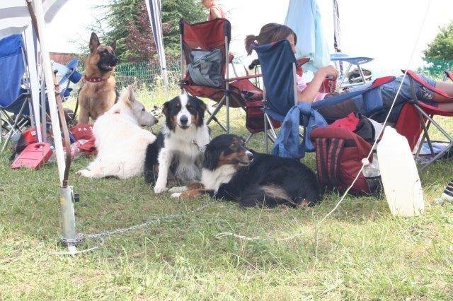 Agility 2008 – photo 43