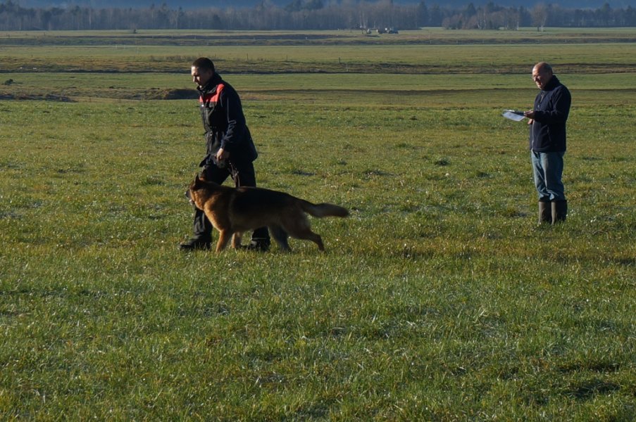 Championnat suisse AF 2014 – photo 2