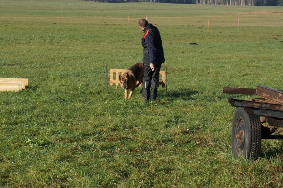 Championnat suisse AF 2014 – photo 3