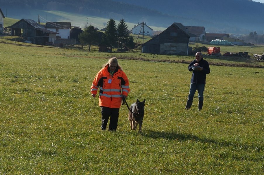 Championnat suisse AF 2014 – photo 5