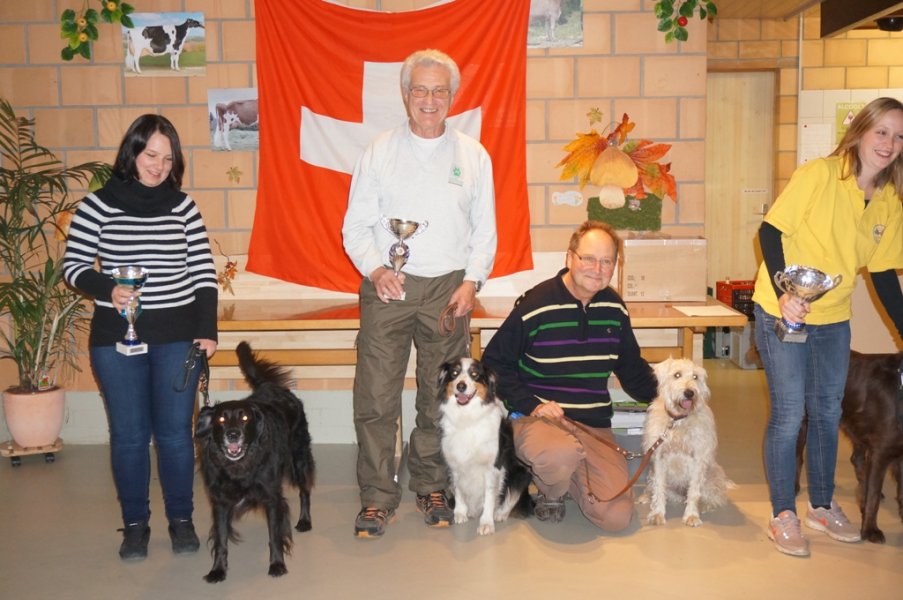 Championnat suisse AF 2014 – photo 12
