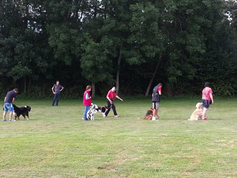 Entraînements printemps 2014 – photo 2