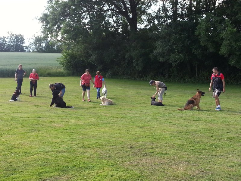 Entraînements printemps 2014 – photo 5